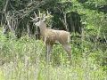 img 2547