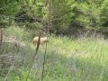 img 2551
