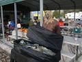 IMG 0066