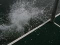 IMG 0036  1 