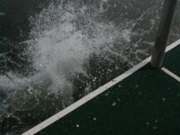 IMG 0036  1 