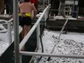 IMG 0043  1 