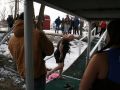 IMG 0065  1 