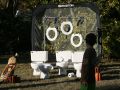 IMG 0030  1 