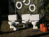 IMG 0036  1 