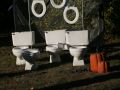 IMG 0037  1 