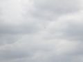 IMG 8183