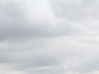 IMG 8187