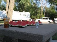 IMG 8495
