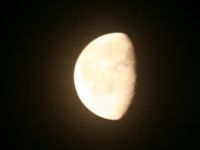 IMG 0007  7 