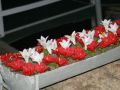 IMG 0011  7 