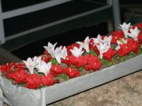 IMG 0011  7 