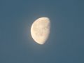 IMG 0028  6 
