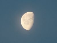IMG 0028  6 