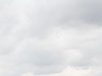 IMG 8198